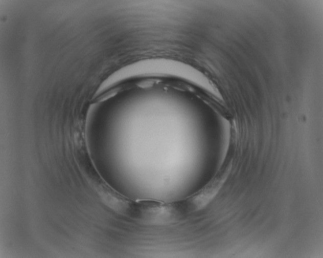 X0000077370237200611031919