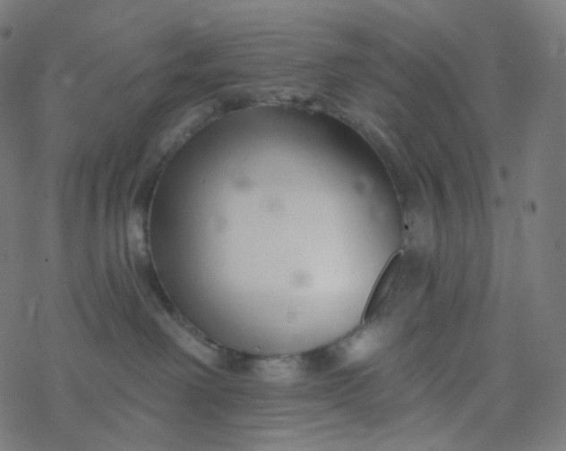 X0000077370238200611031919