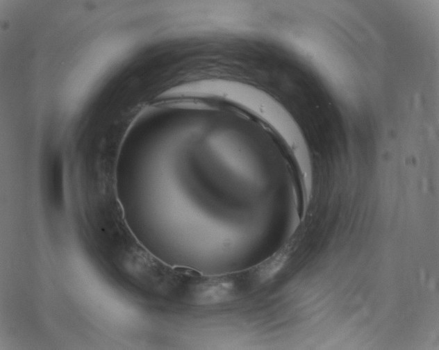 X0000077370239200611031919