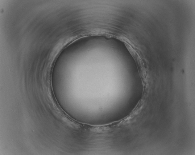 X0000077370241200611031918