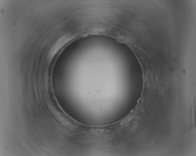 X0000077370242200611031918