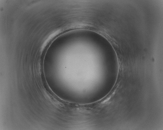 X0000077370244200611031918