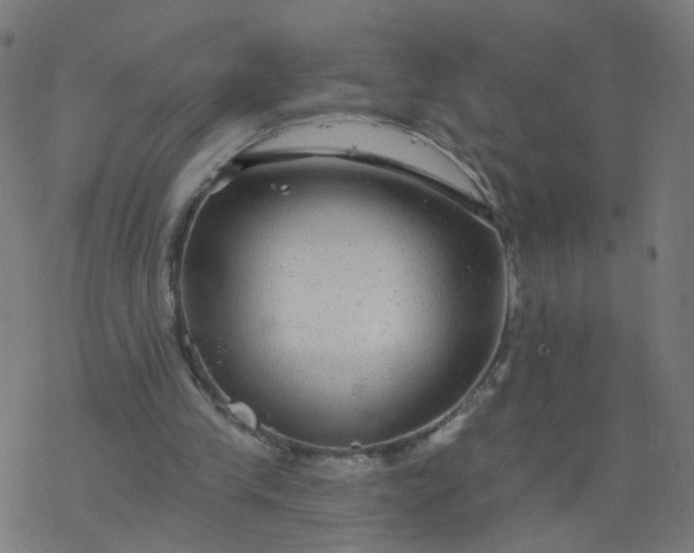 X0000077370245200611031918