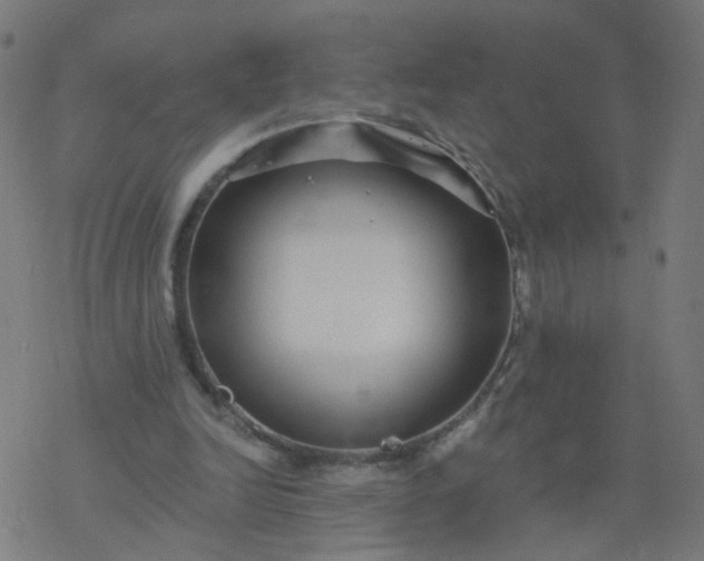 X0000077370246200611031918