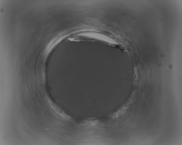 X0000077370247200611031918