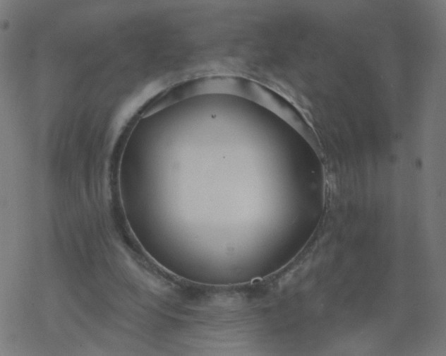 X0000077370248200611031918