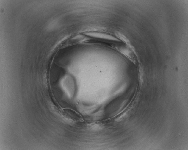 X0000077370249200611031918