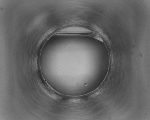 X0000077370250200611031918