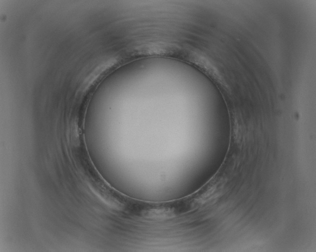 X0000077370251200611031918