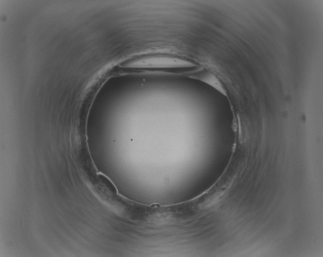 X0000077370252200611031918