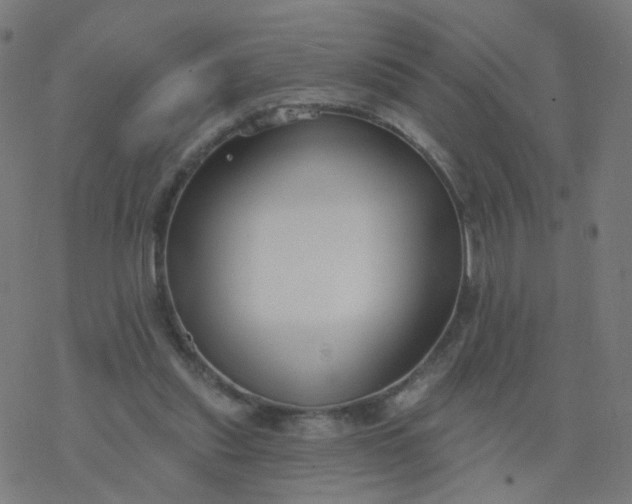 X0000077370253200611031918