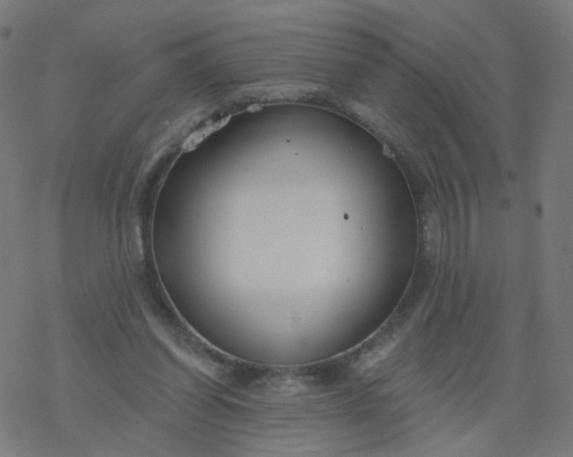 X0000077370254200611031918