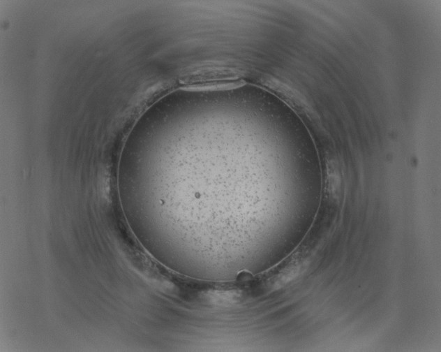 X0000077370255200611031918