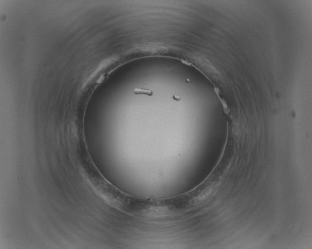 X0000077370256200611031918