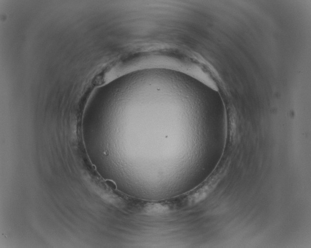 X0000077370257200611031918