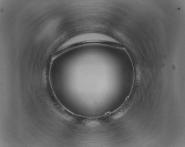 X0000077370258200611031918