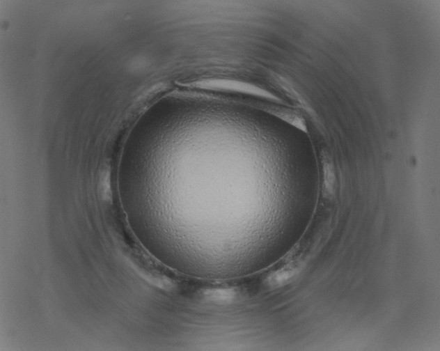 X0000077370259200611031918