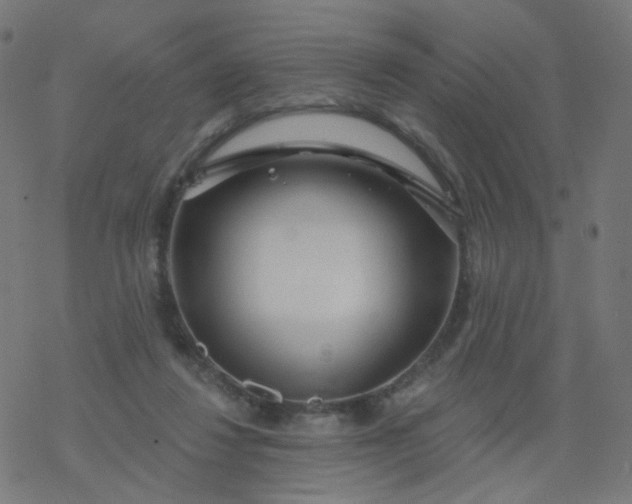 X0000077370260200611031918