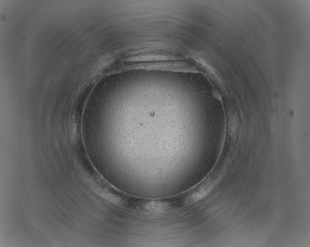 X0000077370261200611031918