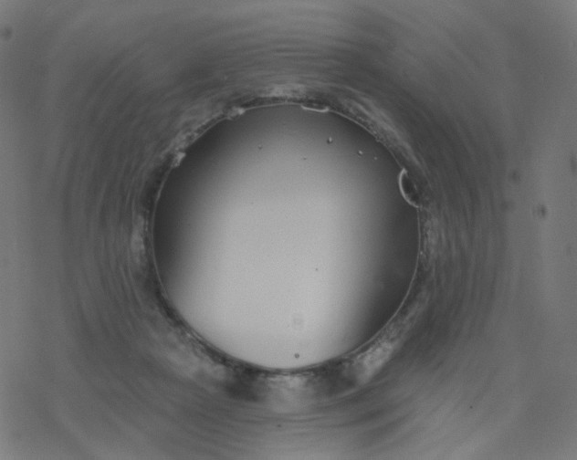 X0000077370265200611031919