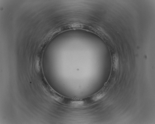 X0000077370266200611031919