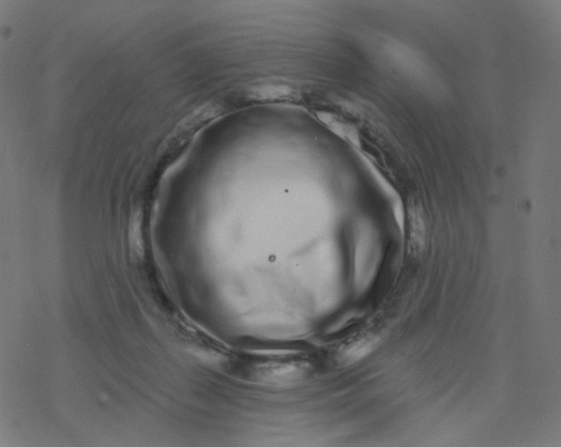 X0000077370267200611031919