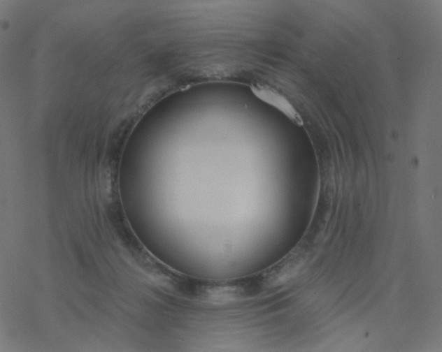 X0000077370268200611031919