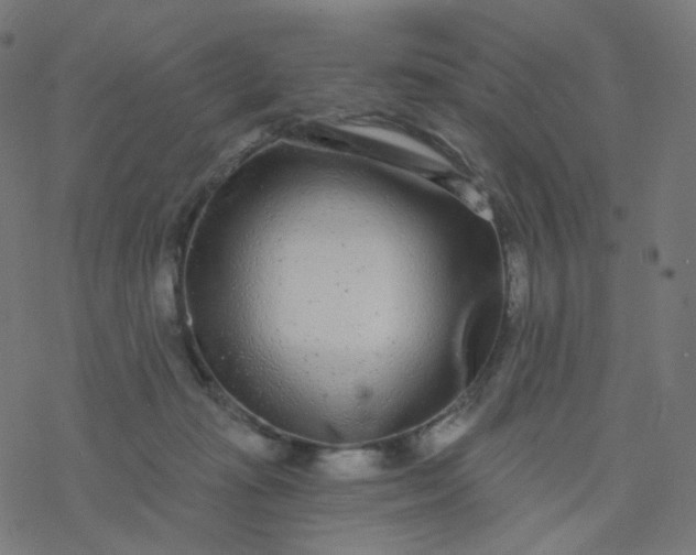 X0000077370269200611031919