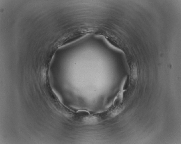 X0000077370271200611031919