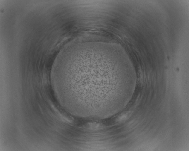 X0000077370272200611031919