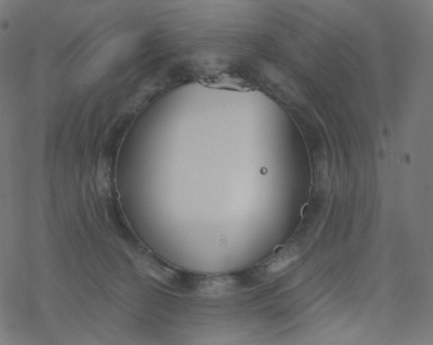 X0000077370274200611031919