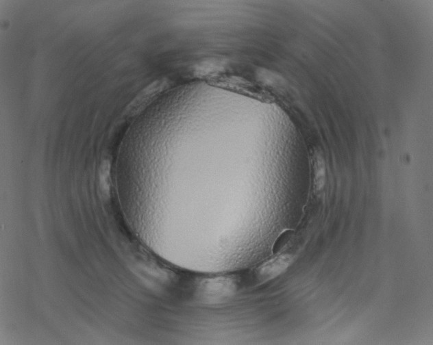 X0000077370275200611031919