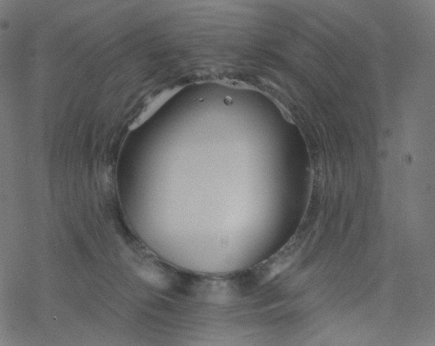 X0000077370276200611031919