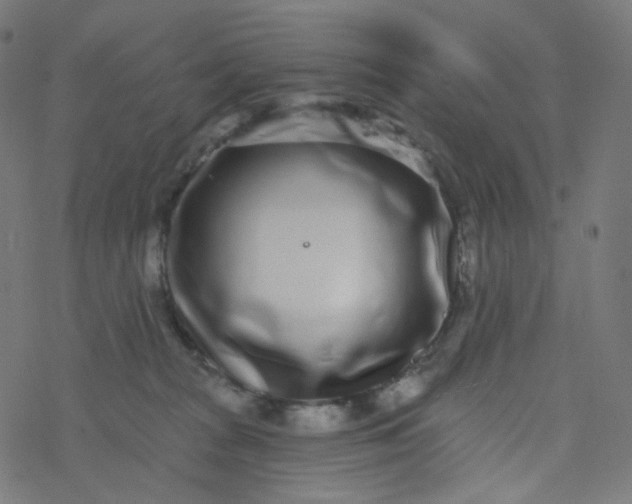 X0000077370277200611031919