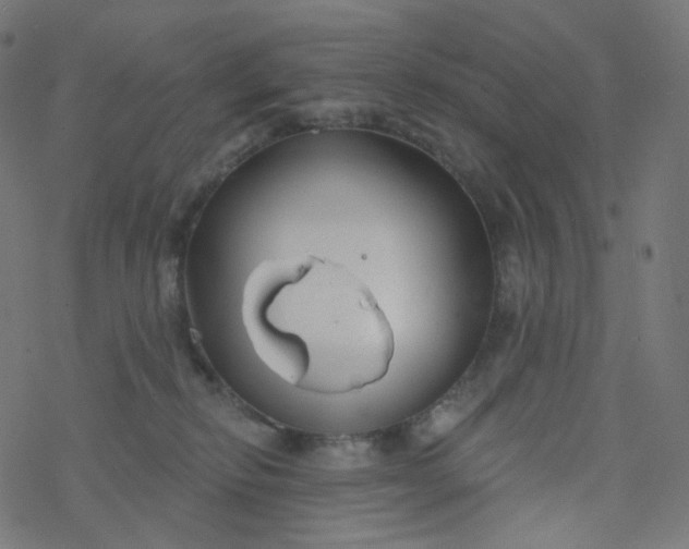 X0000077370278200611031919