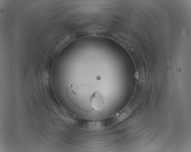 X0000077370279200611031919