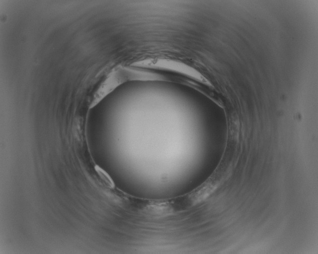 X0000077370280200611031919