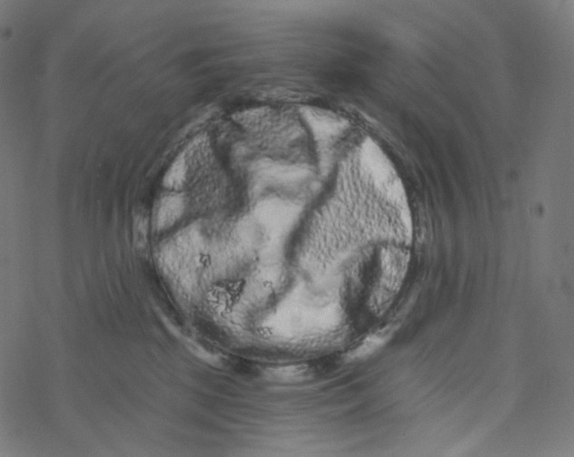 X0000077370281200611031919