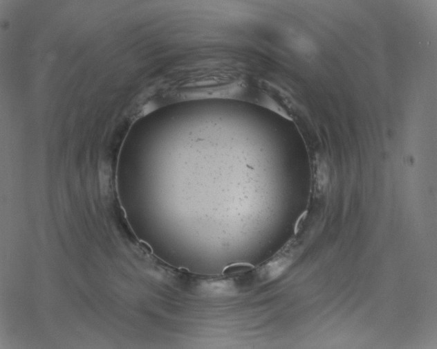 X0000077370283200611031919