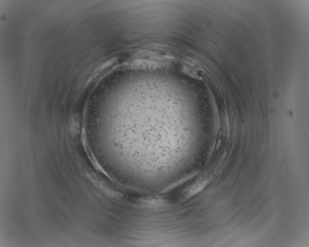 X0000077370284200611031919