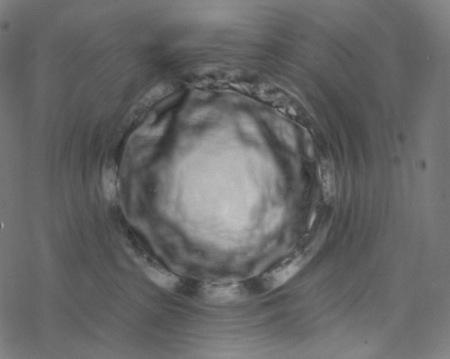 X0000077370285200611031919