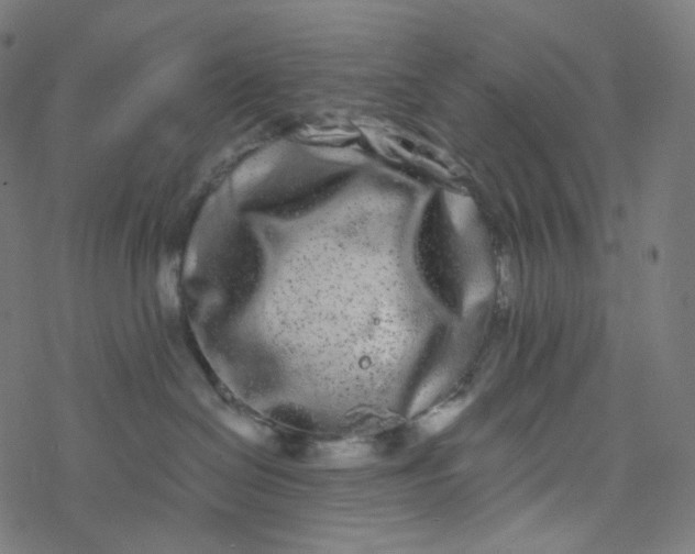 X0000077370286200611031919