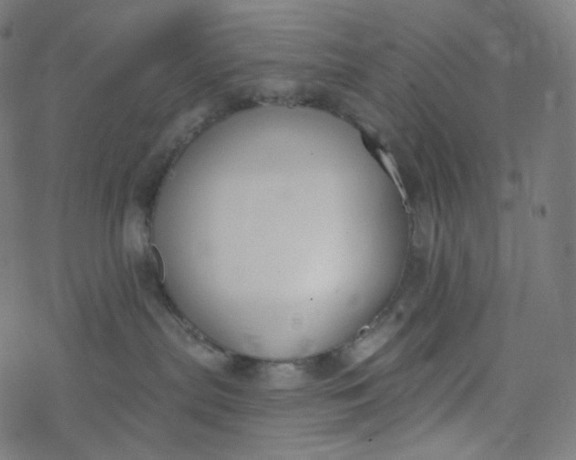 X0000077370287200611031919