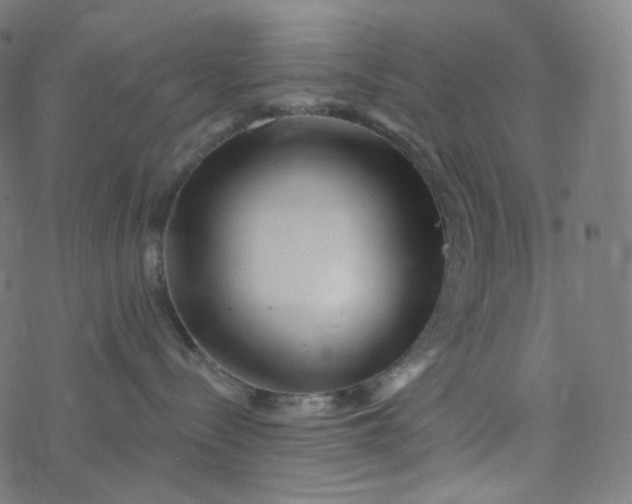 X0000077370288200611031919