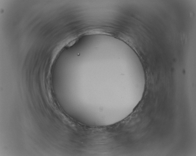 X0000077370289200611031918