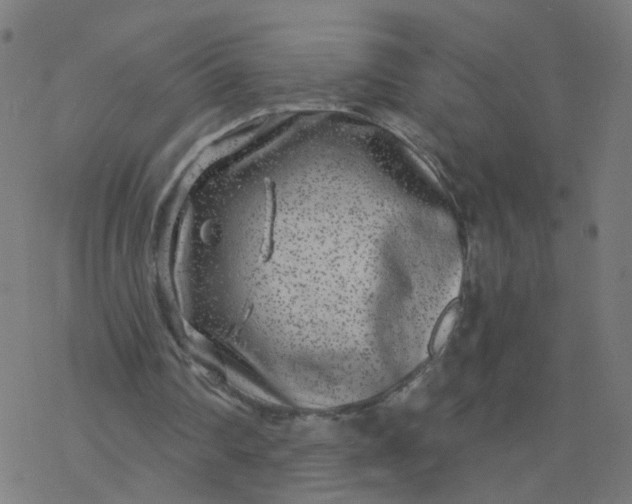 X0000077370290200611031918