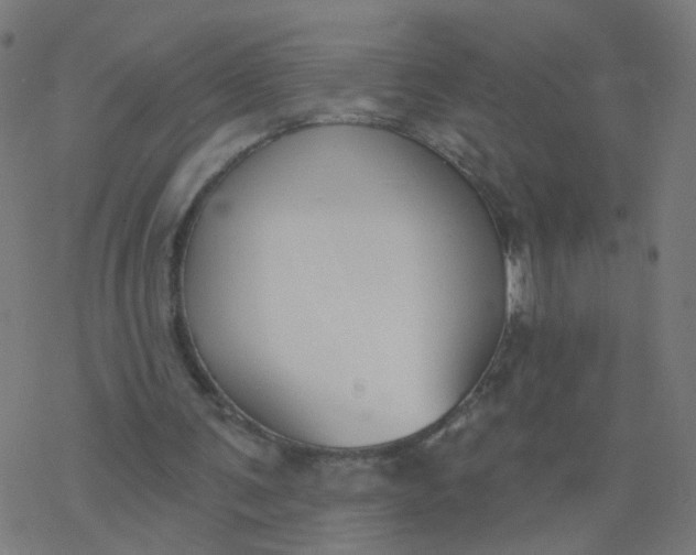 X0000077370291200611031918