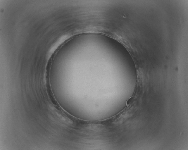 X0000077370292200611031918