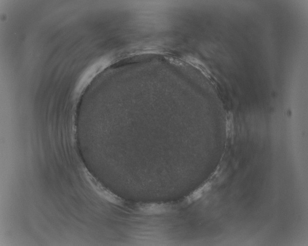 X0000077370293200611031918