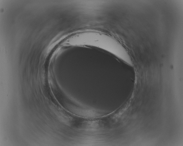 X0000077370295200611031918